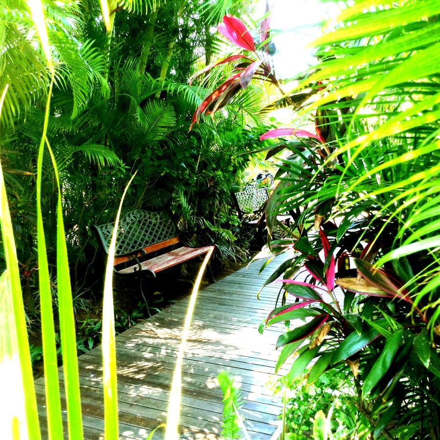 Hotel Les Bougainvilliers Saint-Gilles-les Bains Eksteriør bilde